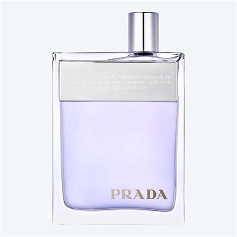 parfum prada amber pour homme|prada amber homme aftershave.